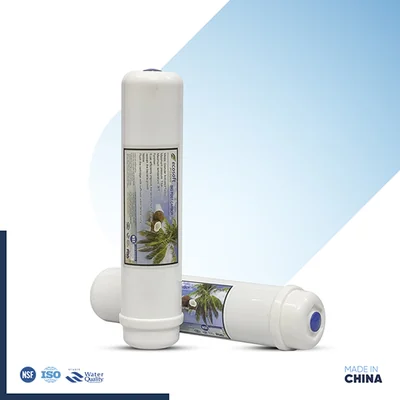 Ecosoft In line Post Carbon Filter