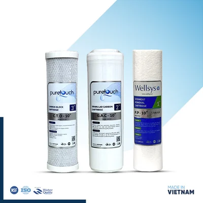 Pure Touch & Wellsys 1-Set RO Filter Replacement Kit (Vietnam)
