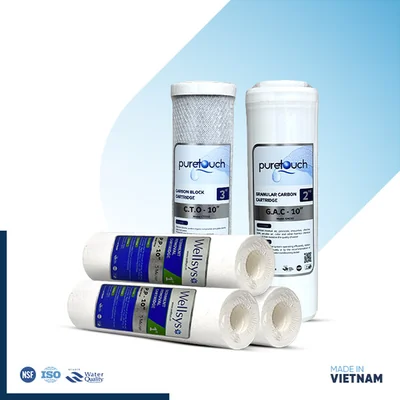 Pure Touch & Wellsys 6-Month RO Filter Set (Vietnam)