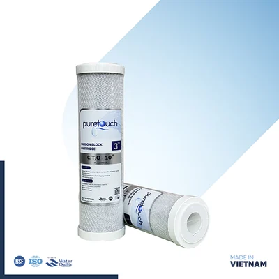 Puretouch Net Carbon CTO 10 inch (Vietnam)