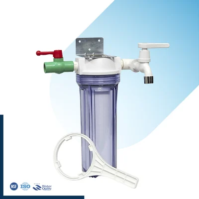 Single-Stage Iron Removal Filter With Tap