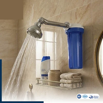 Single-Stage Shower Filter
