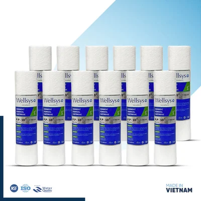 Wellsys 10″ PP Filter Combo Pack 12pcs – Vietnam