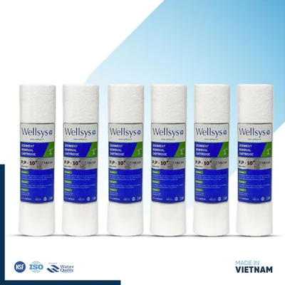 Wellsys 6pcs PP Filter Set Vietnam