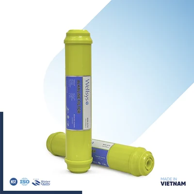 Wellsys Alkaline Filter
