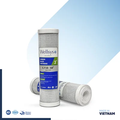 Wellsys Net Carbon CTO